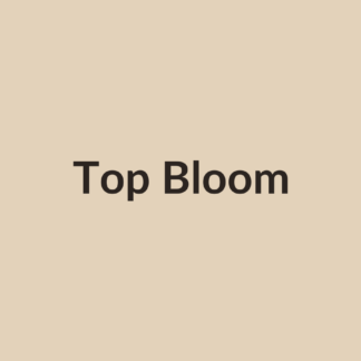 Top Fitness Bloom